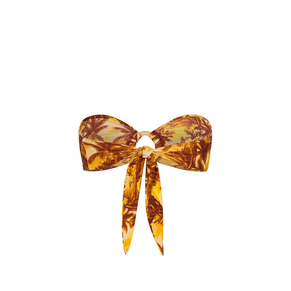 Strapless Bandeau Bikini Top - Vintage Vacay