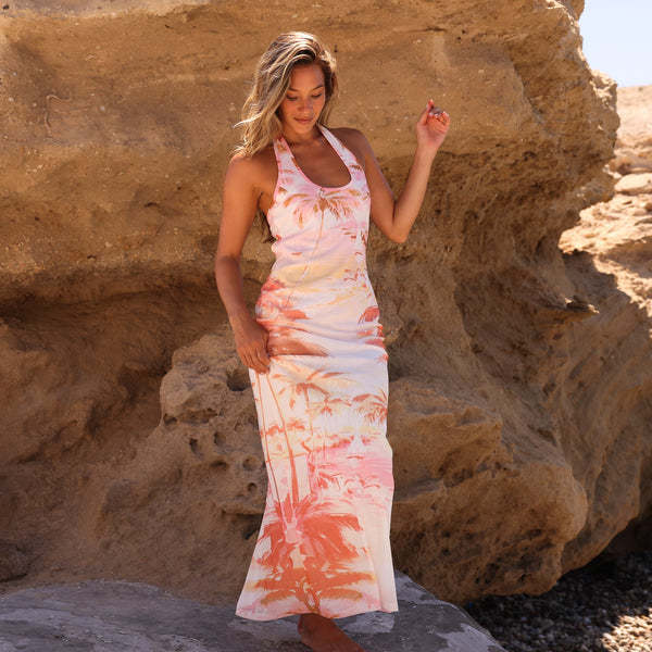 Halter Mesh Maxi Dress - Wild Skies